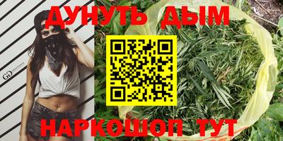 ГАЛЛЮЦИНОГЕННЫЕ ГРИБЫ Кинель