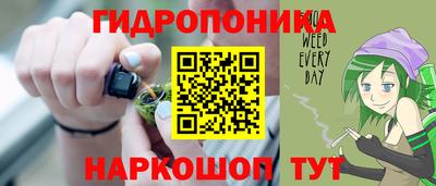 тгк Кимры