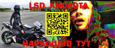 ГАЛЛЮЦИНОГЕННЫЕ ГРИБЫ Кинель